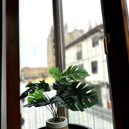 El Brezo Con Vistas A La Pulchra Apartament *